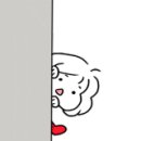 코스모스 어린이집 이미지