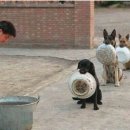 식사합시다 이미지