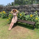 돌담이우다 펜션 | 제주 가볼만한곳 놀멍 쉬멍