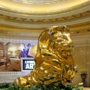 엠지엠(MGM) 이미지