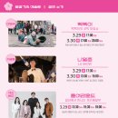 2024 경주 대릉원돌담길 벚꽃축제 이미지