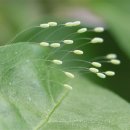 재송초등학교 이미지