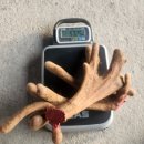 호동이농장 이미지