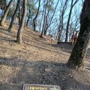 화원명곡숲 이미지