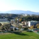 강릉중앙고등학교 이미지