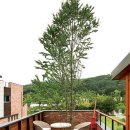 즐기기 위한 주택살이 - 벽돌과 나무가 잘 어우러진 2층 주택 이미지