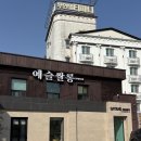 개쌀롱 | 광주 불로동 미용실 예슬쌀롱 광주불로동점 세나 디자이너 염색 후기