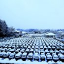 서일농장 이미지