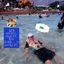 롯데워터파크길L | •─⋅☾ 김해 장유 롯데워터파크 극성수기 주차 할인 식당 ☽⋅─•