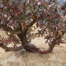 곡은농장 이미지