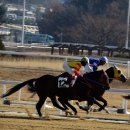 경마공원 이미지