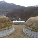 신항묘 이미지