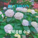 작은막공원 | 경기도 부천 수국 볼수있는 벌막공원 오후 산책