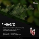 레푸스용산역점
