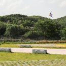 금호강오토캠핑장 이미지