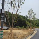 처인고등학교 이미지