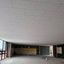 분당-273 이미지