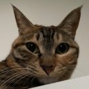 불광다올약국 이미지