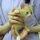 노룬산동물병원 이미지