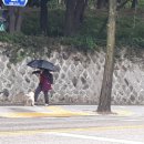 삼광자전거 이미지