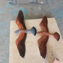 휴대폰으로 찍는 예술 사진 이미지