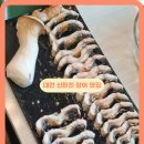 읍내삼거리 | 대전 현지인 맛집 신탄진 장어 계족산풍천가