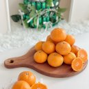 방가네농장 | 귤쨈만들기 제주방가네농장 제주노지감귤로 귤잼만들기