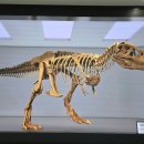 진주 정촌면 백악기 공룡ㆍ익룡발자국 화석산지 이미지