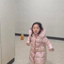 비봉세탁소 | 3월 일기장