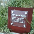 신길선사유적지 이미지