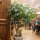 성심원조순대해장국 이미지