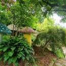 화수목 - 고양시 일산서구 주화로 210 | 화수목