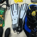 스쿠버다이버의집 | 스쿠버다이빙 핀 추천-다이브라이트 XT핀 화이트 내돈내산 후기(feat. 마레스 꽈트로 플러스 비교)