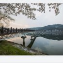 소나무와 호수 이미지