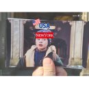 저녁강좌-사람, 공간, 건축으로 떠나는 여행 | 뉴욕 나홀로집에 명소 촬영장소 여행후기 - 플라자호텔 센트럴파크