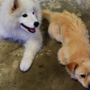 순천게스트하우스 느림 이미지