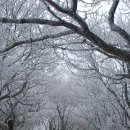 농소중학교 이미지