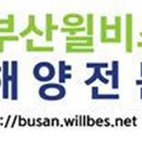 이고조고 이미지
