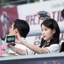 설레야 네이버블로그