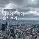 좋은날오후 | 시부야 스카이 예약 꿀팁 날씨 안 좋은 날 다녀온 솔직 후기