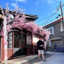 카페 까멜리아 이미지