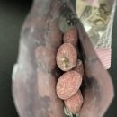 씨제이프레시웨이주식회사 이미지