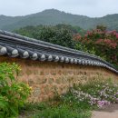 경주, 양동마을의 여름꽃들 이미지