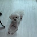 뭉치쌀롱 이미지