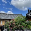 시인의 뜰 | 공주 한옥 카페 [루치아의 뜰] 공주여행가면 꼭 가야할 한옥카페 추천