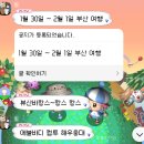 푸른 뱀의 해를 맞아 푸른 바다 보러 부산 바캉스