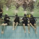 신세계수영장 이미지