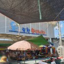 독천5일시장 이미지