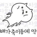 화성각 - 중랑구 면목로48길 37 | 화성각