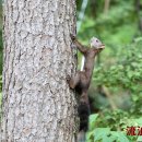 사가정공원 이미지